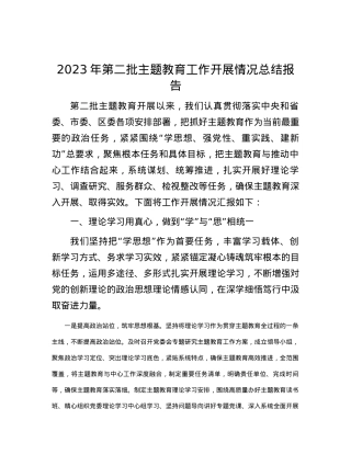 2023年第二批主题教育工作开展情况总结报告.docx