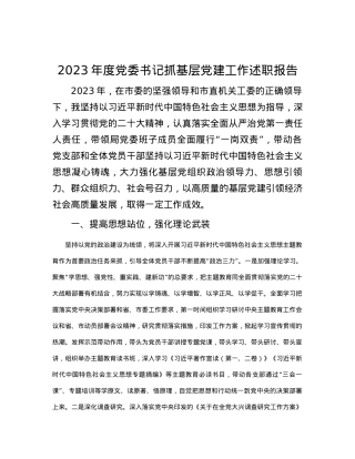 2023年度党委书记抓基层党建工作述职报告.docx