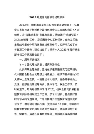 2023年度党支部书记述职报告.docx