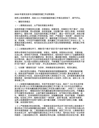 2023年度党支部书记抓基层党建工作述职报告.docx