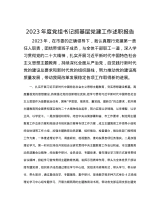 2023年度党组书记抓基层党建工作述职报告.docx