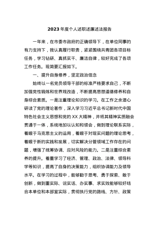 2023年度个人述职述廉述法报告.docx
