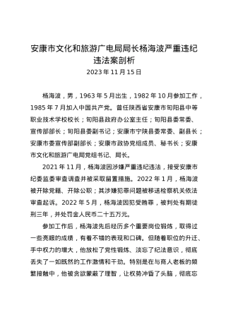 党纪学习教育∣07案例剖析：安康市文化和旅游广电局局长杨海波严重违纪违法案剖析.docx