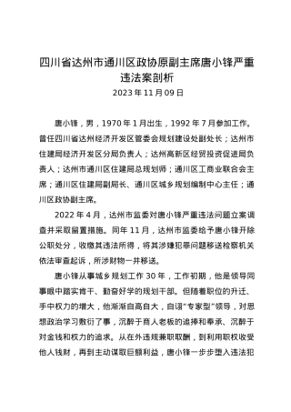 党纪学习教育∣07案例剖析：四川省达州市通川区政协原副主席唐小锋严重违法案剖析.docx