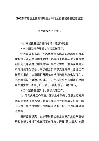 2023年度国土资源和规划分局党总支书记抓基层党建工作述职报告.docx