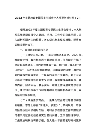 2023年主题教育专题民主生活会个人检视剖析材料（2）.docx