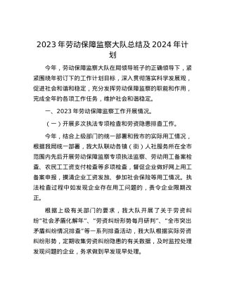 2023年劳动保障监察大队总结及2024年计划.docx