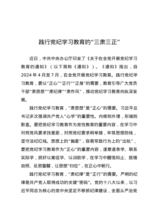 党纪学习教育∣09学习交流：20240408践行党纪学习教育的“三肃三正”.docx