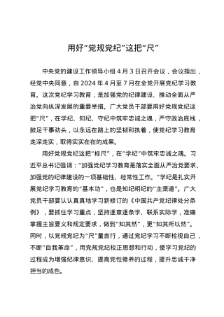 党纪学习教育∣09学习交流：20240408用好“党规党纪”这把“尺”.docx