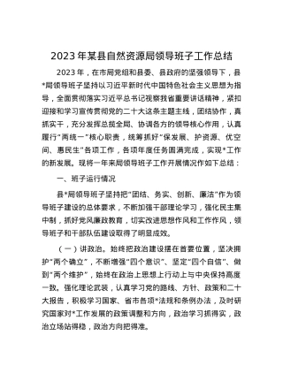 2023年某县自然资源局领导班子工作总结.docx