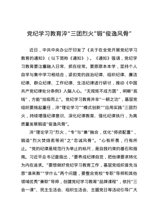 党纪学习教育∣09学习交流：20240410党纪学习教育淬“三团烈火”锻“俊逸风骨”.docx