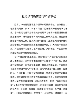 党纪学习教育∣09学习交流：20240410党纪学习教育要“严”抓不松.docx