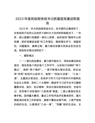 2023年度民政局党组书记抓基层党建述职报告.docx