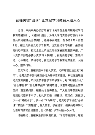 党纪学习教育∣09学习交流：20240410读懂关键“四词” 让党纪学习教育入脑入心.docx