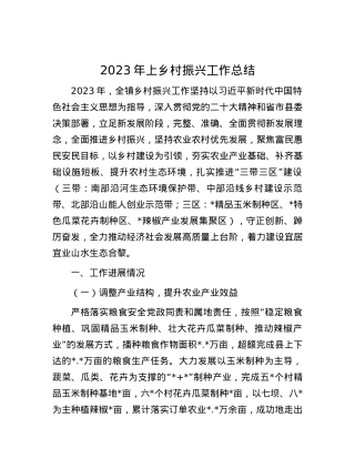 2023年上乡村振兴工作总结.docx