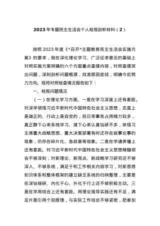 2023年专题民主生活会个人检视剖析材料（2）.docx