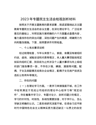 2023年专题民主生活会检视剖析材料 (2).docx
