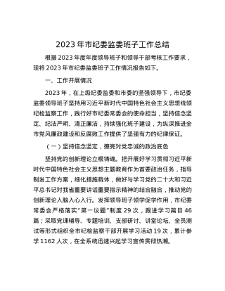2023年市纪委监委班子工作总结.docx