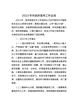 2023年市政府宣传工作总结.docx
