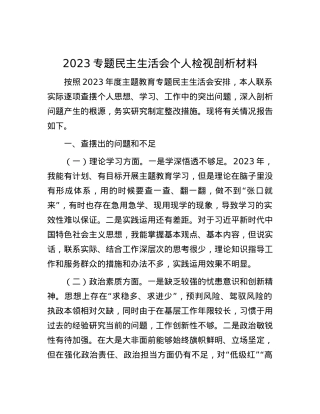 2023专题民主生活会个人检视剖析材料.docx
