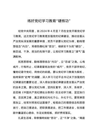 党纪学习教育∣09学习交流：20240411练好党纪学习教育“硬核功”.docx