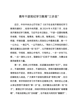 党纪学习教育∣09学习交流：20240411青年干部党纪学习教育“三步走”.docx