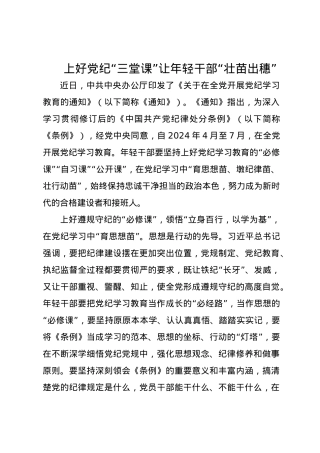 党纪学习教育∣09学习交流：20240411上好党纪“三堂课”让年轻干部“壮苗出穗”.docx