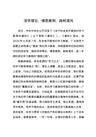 党纪学习教育∣09学习交流：20240411深学理论、慎思案例、践树清风.docx