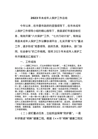 2023年未成年人保护工作总结.docx