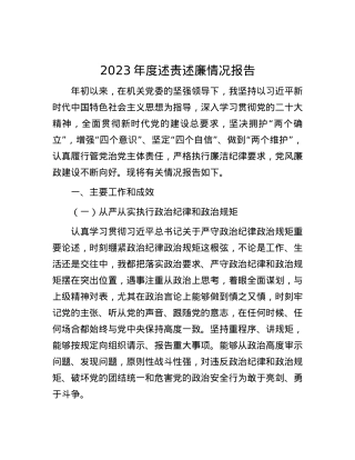 2023年度述责述廉情况报告.docx