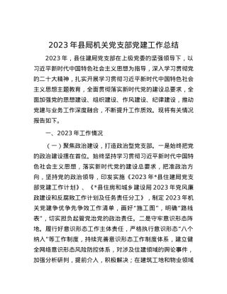 2023年县局机关党支部党建工作总结.docx