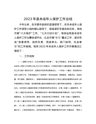 2023年县未成年人保护工作总结.docx