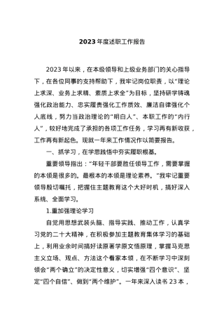 2023年度述职工作报告.docx
