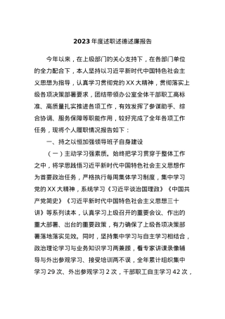 2023年度述职述德述廉报告【优】.docx