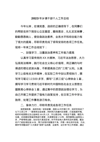 2023年乡镇干部个人工作总结.docx