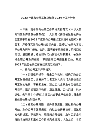 2023年政务公开工作总结及2024年工作计划.docx