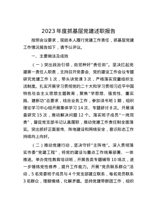 2023年度抓基层党建述职报告.docx
