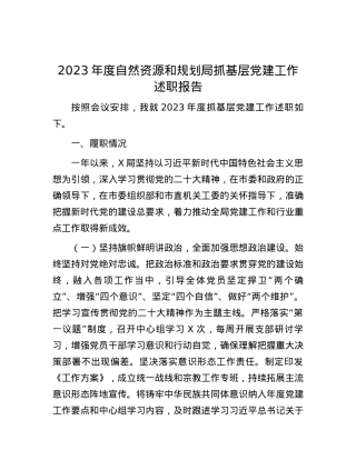 2023年度自然资源和规划局抓基层党建工作述职报告.docx