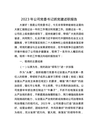2023年公司党委书记抓党建述职报告.docx