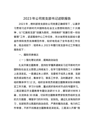 2023年公司党支部书记述职报告.docx