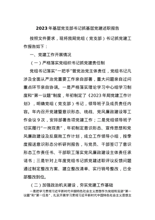 2023年基层党支部书记抓基层党建述职报告.docx