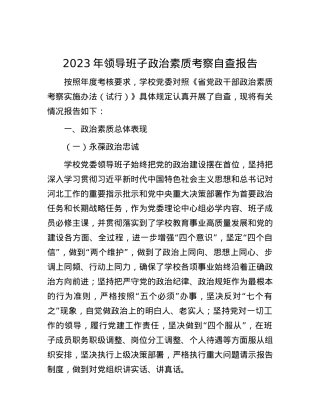 2023年领导班子政治素质考察自查报告.docx
