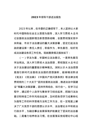 2023年领导干部述法报告.docx