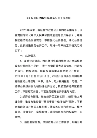 XX经开区2023年政务公开工作总结.docx