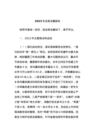 2023年述责述廉报告.docx