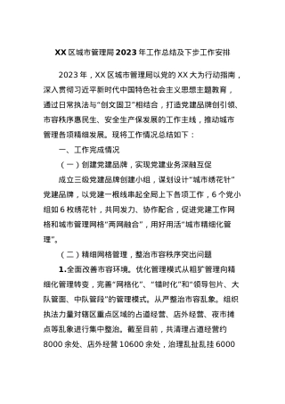 XX区城市管理局2023年工作总结及下步工作安排.docx