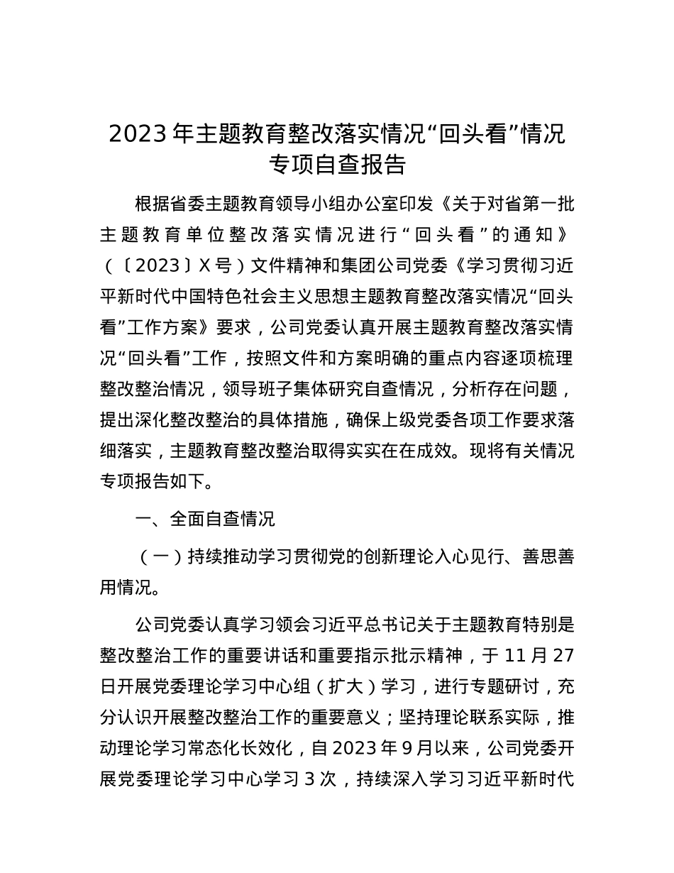 2023年主题教育整改落实情况“回头看”情况专项自查报告.docx_第1页