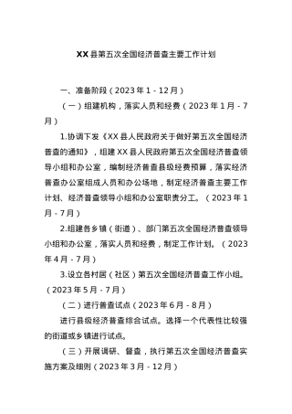 XX县第五次全国经济普查主要工作计划.docx