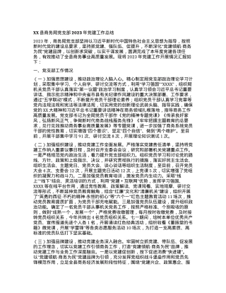 XX县商务局党支部2023年党建工作总结.docx