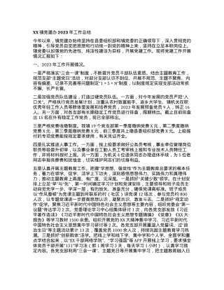 XX镇党建办2023年工作总结.docx